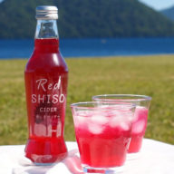 【北海道洞爺湖】赤しそサイダー　２３０ml×２４本【全国送料無料】
