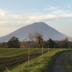 ついに！！（20101612）