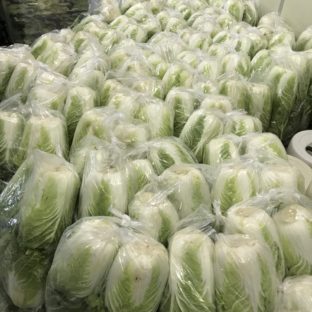 １１月といえばこの野菜（2022/11）