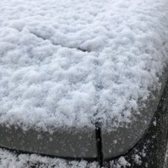 ついに降りました♪（20110414）