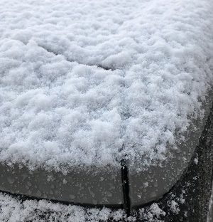 ついに降りました♪(20110414)