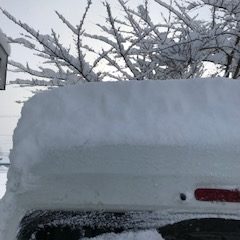 冬将軍到来！！（20121719）