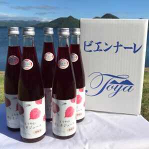 【北海道洞爺湖】とうやの赤しそジュース　６本入り【紫蘇】【送料一律￥７７０】
