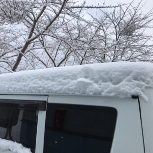 季節外れの・・・