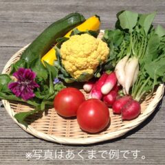 洞爺湖町の新鮮野菜の販売が始まります！(2023／5）