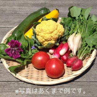 洞爺湖町産「おまかせ野菜セット」