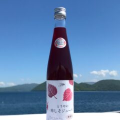 今年もあと一か月！（2023／12）