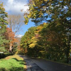 いよいよ！（2022/10）