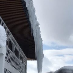 ぽかぽか陽気（2023／2）