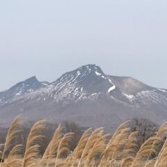 新年度スタート！(2023／4)