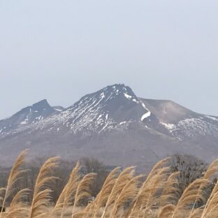新年度スタート！(2023／4)