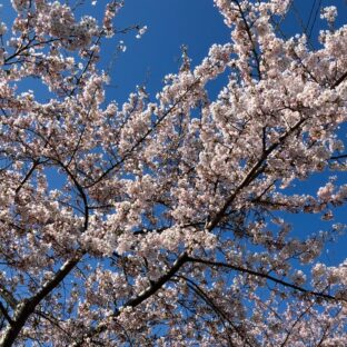 ゴールデンウィーク（２０２３・５）